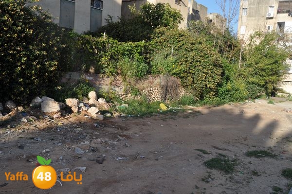 snakeluds310 (8).JPG